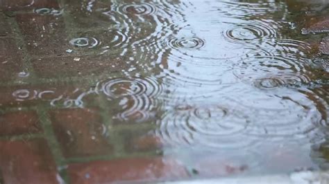 雨天圖|下雨天圖庫、照片和背景素材免費下載